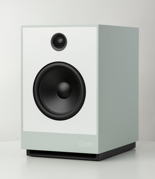 Guru 12